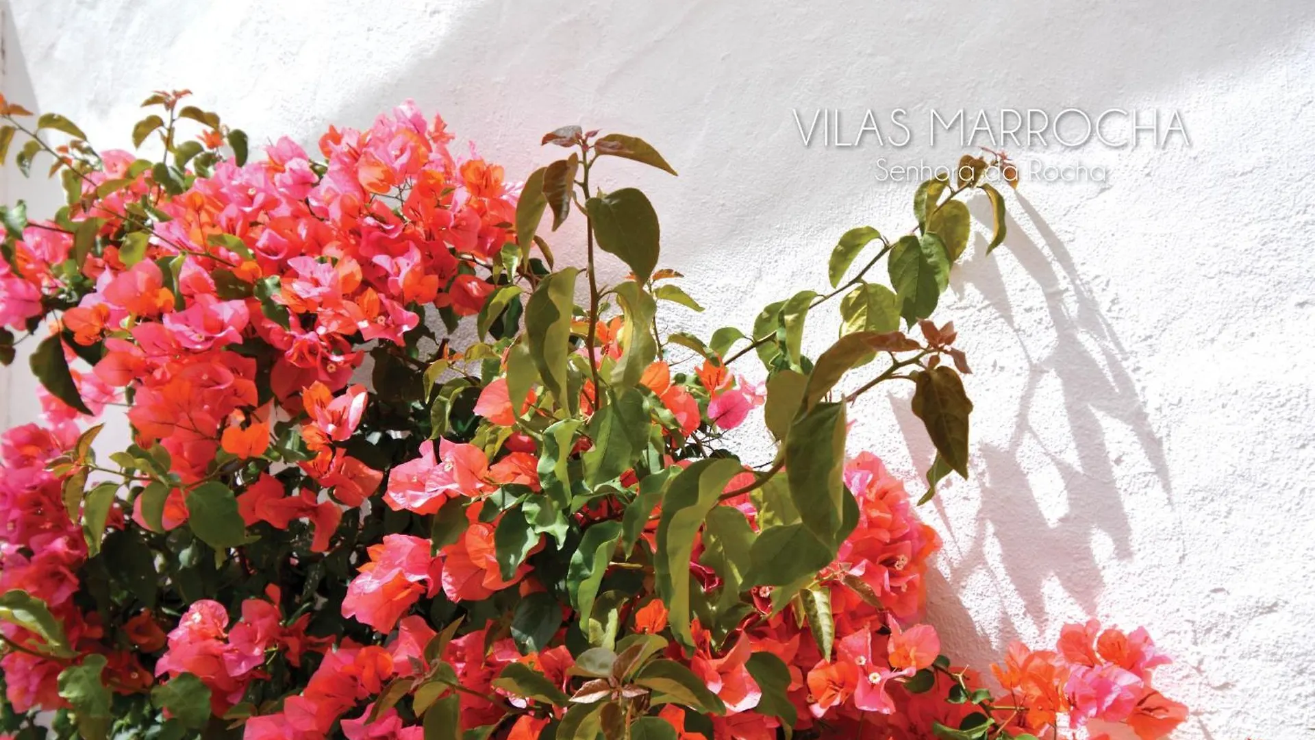 Vilas Marrocha Porches  Resort Porches (Algarve)